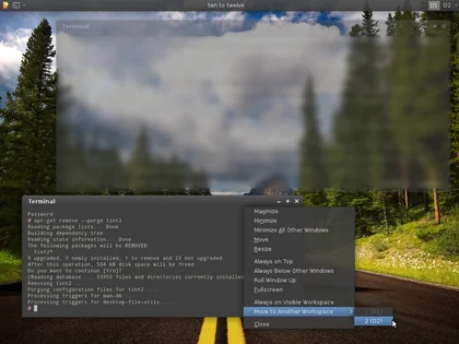 THUMB: sshot-20110423-xfce-debian.jpeg