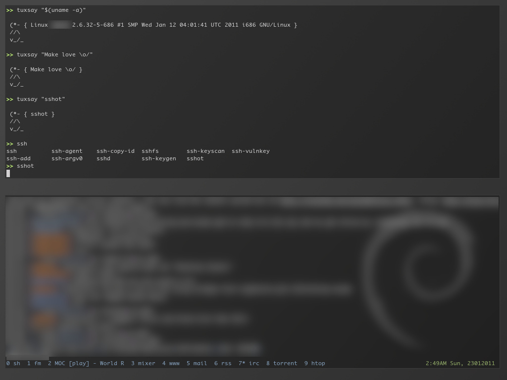IMG: sshot-20110123-dwm-debian.jpeg
