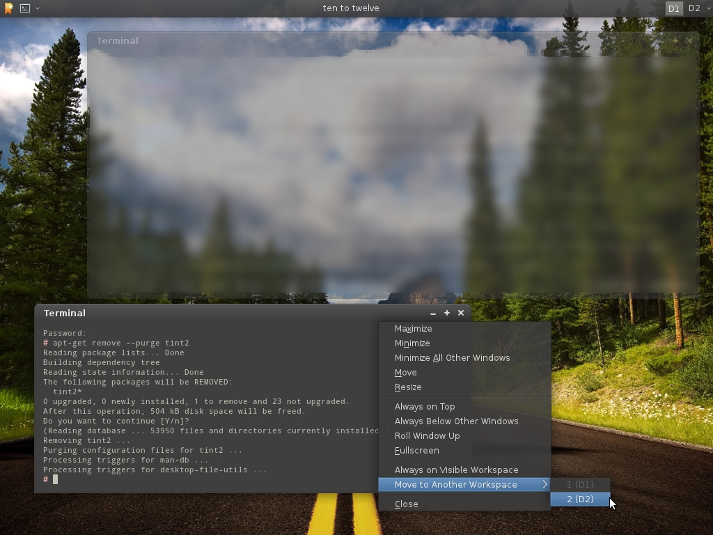 sshot-20110423-xfce-debian.jpeg