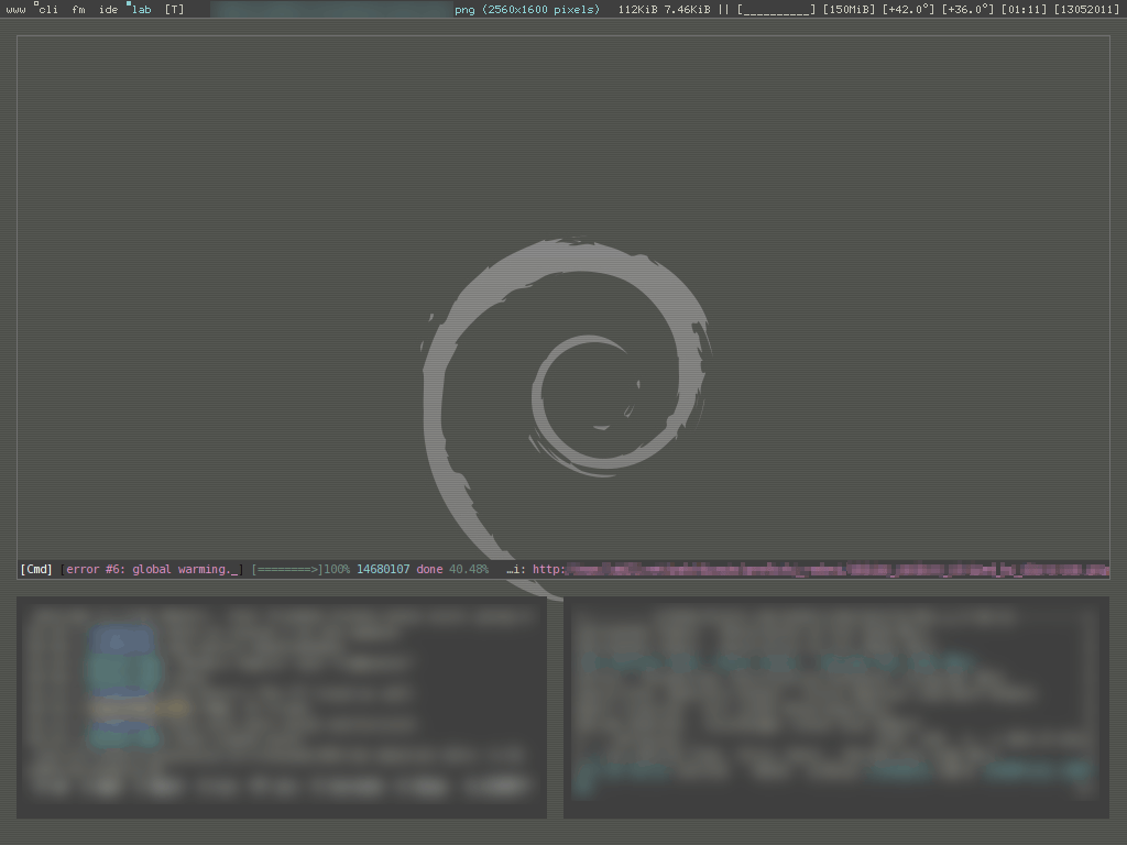 sshot-20110513-dwm-debian.png